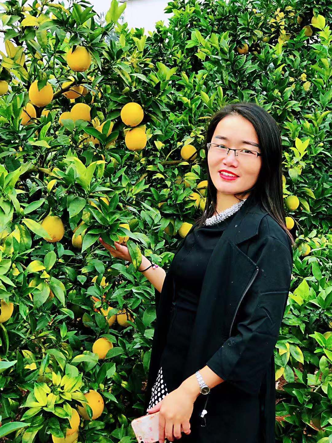 赣南脐橙园冬季如何防冻害？4招教你避免果树低温冻害